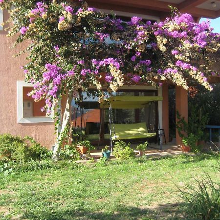 Apartman Lavanda Kali Εξωτερικό φωτογραφία
